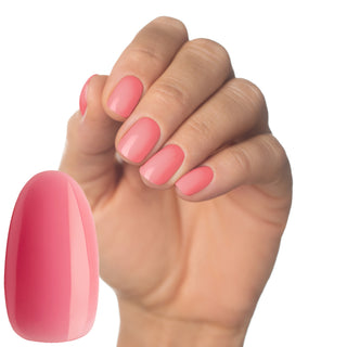 Love Multi-Flex Gel