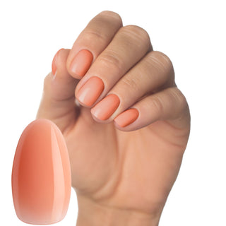 Aspire Multi-Flex Gel
