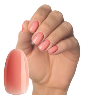 Grace Multi-Flex Gel