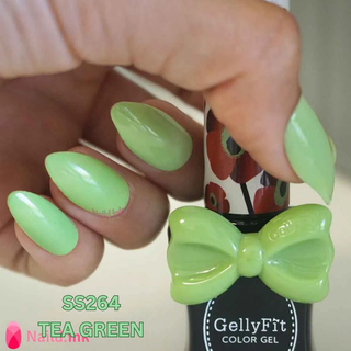 Spring/Summer - SS264